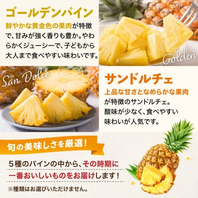 【訳あり】石垣島産 パイナップル 詰め合わせ 約4kg (3～10個)《2026年4月下旬発送》