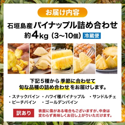 【訳あり】石垣島産 パイナップル 詰め合わせ 約4kg (3～10個)《2026年5月から順次発送》