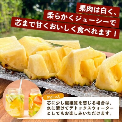 《2025年9月下旬以降発送》完熟の極 石垣島産パイナップル 秋のピーチパイン3個セット