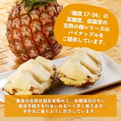 《2025年9月下旬以降発送》完熟の極 石垣島産パイナップル 秋のピーチパイン3個セット
