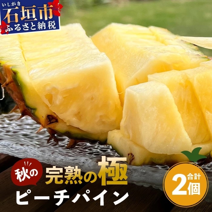 《2025年9月下旬以降発送》完熟の極 石垣島産パイナップル 秋のピーチパイン2個セット