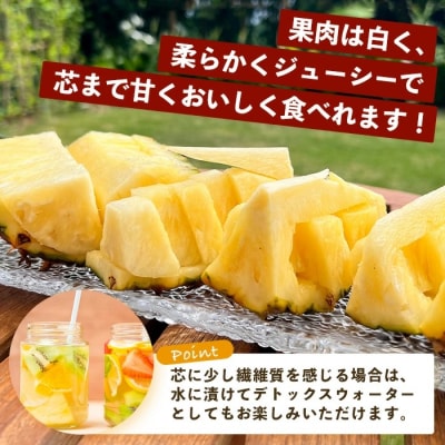 《2025年9月下旬以降発送》完熟の極 石垣島産パイナップル 秋のピーチパイン2個セット