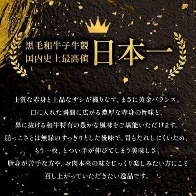 石垣島産 黒毛和牛 新里牛 濃厚赤身ローストビーフ用(ソトモモ)合計500g以上 SZ-011