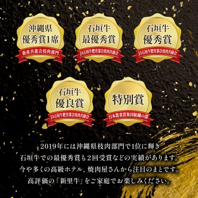 石垣島産 黒毛和牛 新里牛 濃厚赤身ローストビーフ用(ソトモモ)合計500g以上 SZ-11