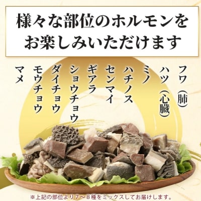 石垣島産 黒毛和牛 新里牛 ホルモンミックス(500g×2) 合計1kg SZ-23
