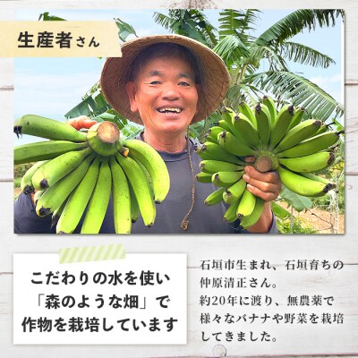 希少!こだわりの水を使い「森ような畑」で栽培する、仲原さんのバナナ