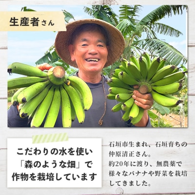 希少!こだわりの水を使い「森ような畑」で栽培する、仲原さんのバナナ