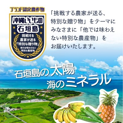 希少!こだわりの水を使い「森ような畑」で栽培する、仲原さんのバナナ