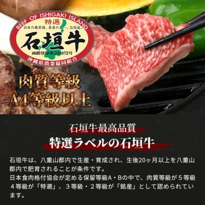 【訳あり】 石垣牛 焼肉用　(不揃い)　500g