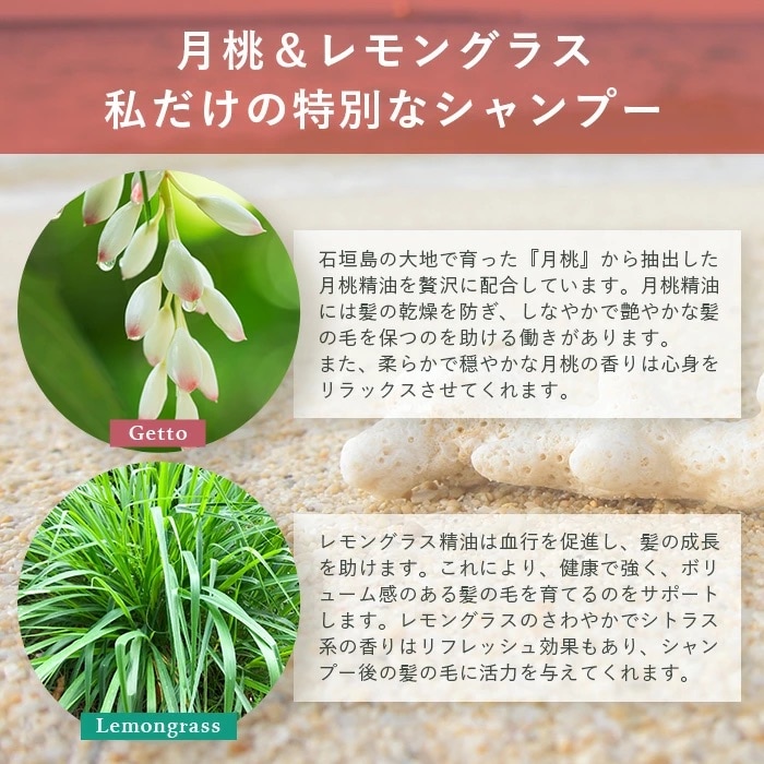 オーガニックオンリーシャンプー　月桃&レモングラス、よもぎ&ミント 2本セット(パウチタイプ)
