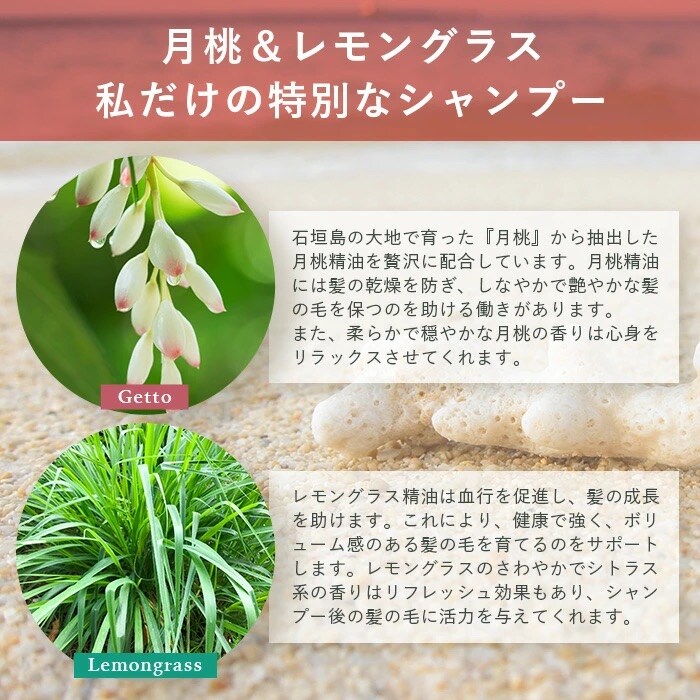 オーガニックオンリーシャンプー　月桃&レモングラス、よもぎ&ミント 2本セット(パウチタイプ)