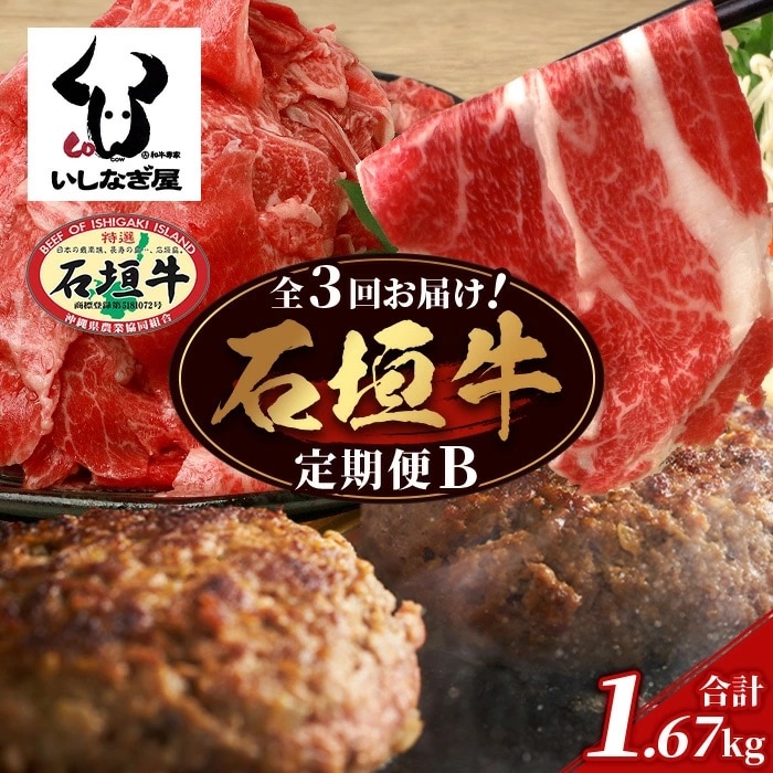 【全3回 定期便B】 石垣牛 切り落としスライス・ハンバーグ・肩ロースすきしゃぶ　計1.67kg