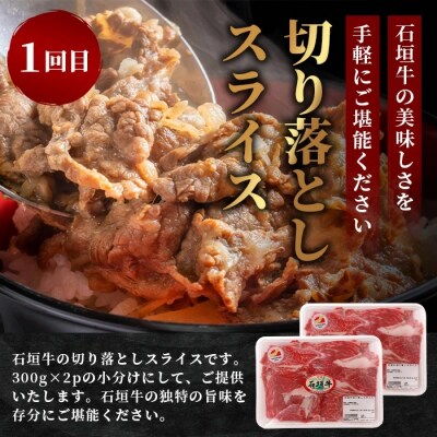 【全3回 定期便B】 石垣牛 切り落としスライス・ハンバーグ・肩ロースすきしゃぶ　計1.67kg