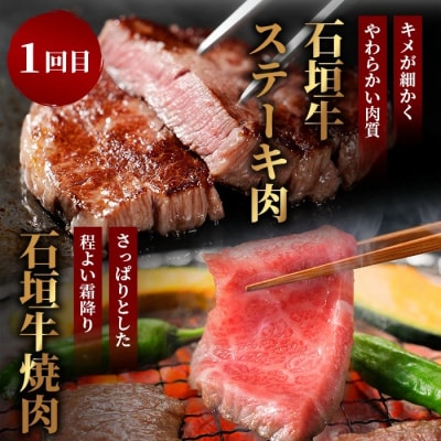 【全2回 定期便E】 石垣牛 ステーキ&焼肉特盛セット・すきしゃぶ&焼肉特盛セット　計3.2kg