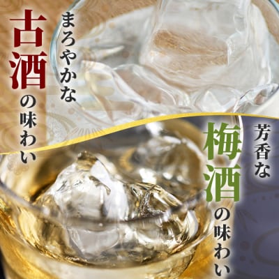 おもと3年古酒&おもと梅酒セット 【沖縄県 石垣市 石垣島 酒 泡盛 梅酒 セット 】 TS-3
