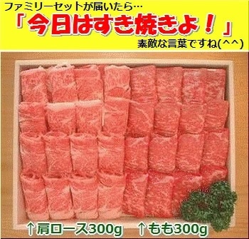 石垣牛・すき焼きファミリーセット300g×2種 計600g もも+肩ロース 冷凍便