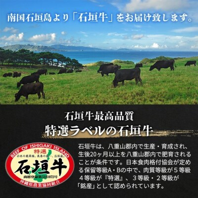 石垣牛・すき焼きファミリーセット300g×2種・計600g もも+肩ロース 冷凍便