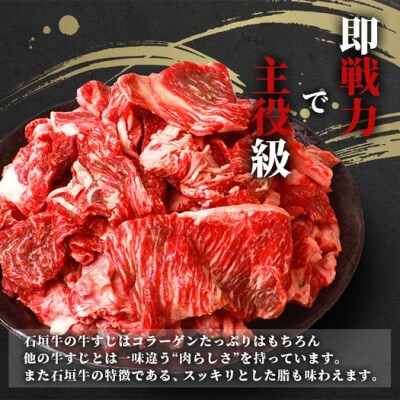 石垣牛・牛すじ 3kg (1kg×3) 冷凍便