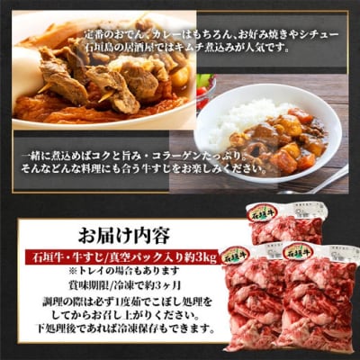 石垣牛・牛すじ 3kg (1kg×3) 冷凍便