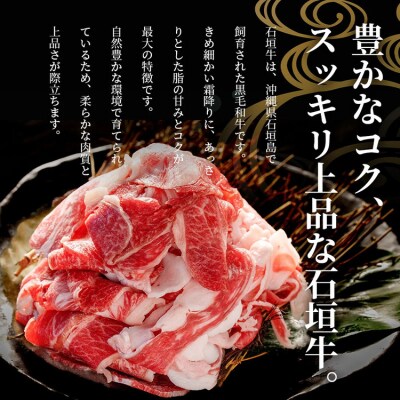 石垣牛・切り落とし 2kg(1kg×2)冷凍便