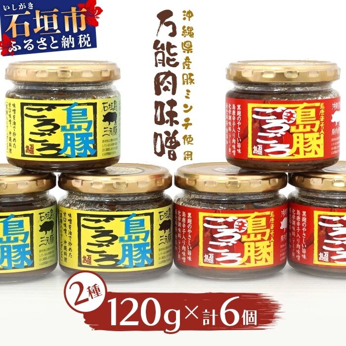 島豚ごろごろ 島唐辛子入り【ピリ辛】×3個・沖縄のおふくろの味×3個 ※人気の2種類セット