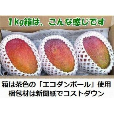 <予約受付>【訳あり】完熟アップルマンゴー 2~4個 約1kg <2026年7月中旬以降発送>