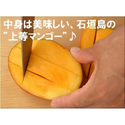 【先行受付】石垣島産 《訳あり》 約1kg エコ箱入り 2025年6月末〜7月下旬発送