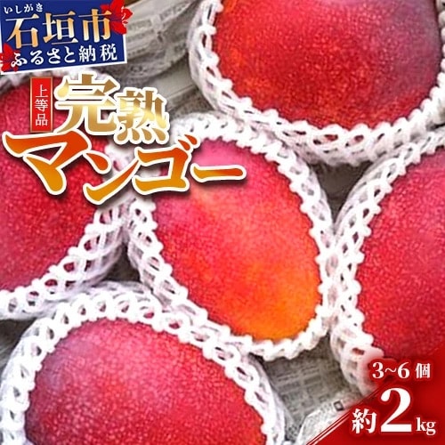 完熟アップルマンゴー 3~6個 約2kg 