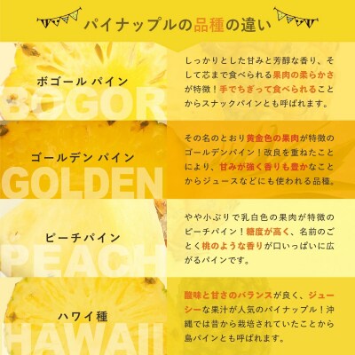 先行予約<2026年6月より順次発送>贅沢3種フローズンパイナップル KP-105