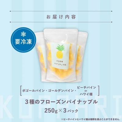 贅沢3種フローズンパイナップル