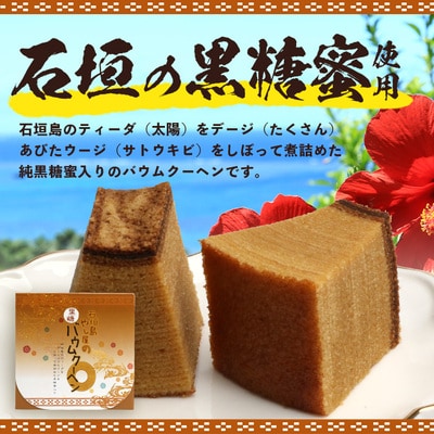 石垣島 石垣の塩バウムクーヘン×1箱 & 黒糖バウムクーヘン×1箱&手作り黒糖菓子　詰め合わせセット