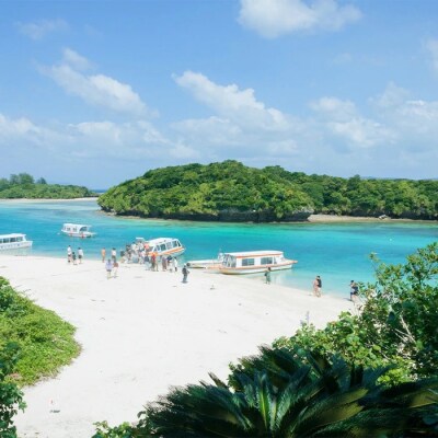 EDISG Tシャツ Island Pride【カラー:オフホワイト】【XLサイズ】