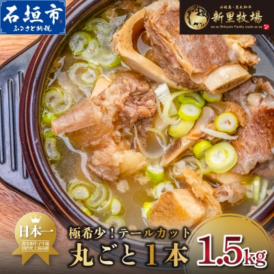 石垣島産 黒毛和牛 新里牛 極希少! テールカット1本 約1.5kg(1～1.5kg)