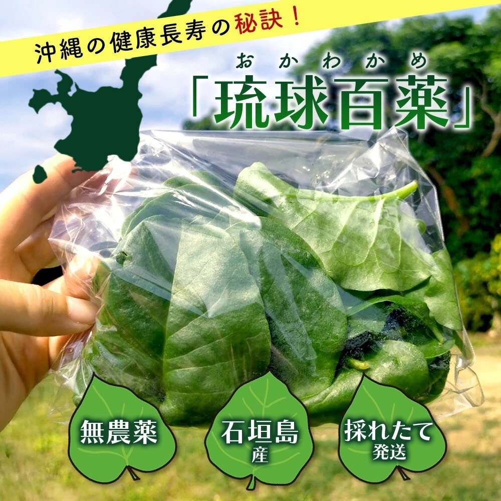 沖縄の健康長寿の秘訣「琉球百薬(おかわかめ)」10袋