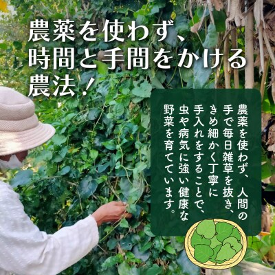 <先行受付>2026年2月順次発送 /「琉球百薬(おかわかめ)」10袋と旬の野菜詰め合わせ