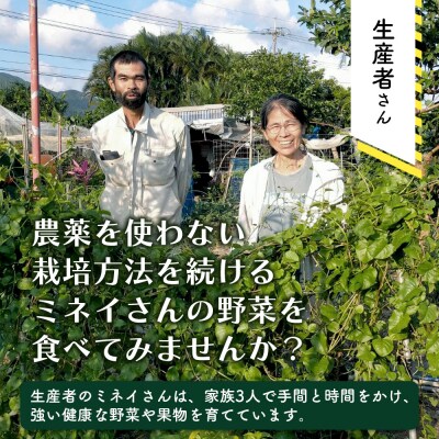 <先行受付>2026年2月順次発送 /「琉球百薬(おかわかめ)」10袋と旬の野菜詰め合わせ