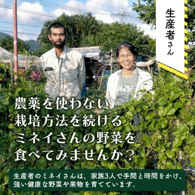 <先行受付>2026年2月順次発送 /「琉球百薬(おかわかめ)」10袋と旬の野菜詰め合わせ