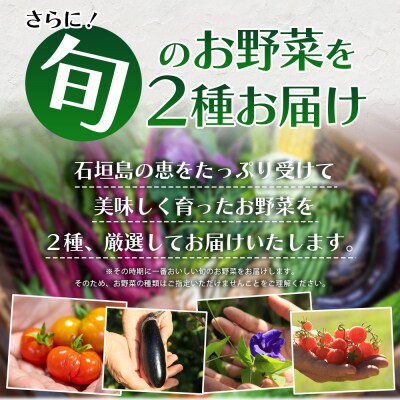 <先行受付>2026年2月順次発送 /「琉球百薬(おかわかめ)」10袋と旬の野菜詰め合わせ