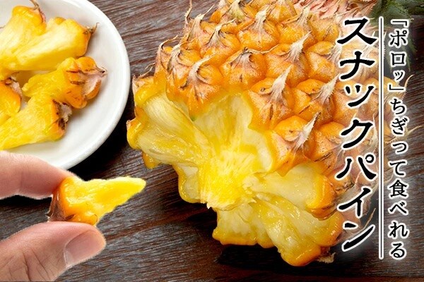 <先行予約> 農家直送!石垣島産 スナックパイン 3玉入 約1.8kg (1.6〜2.0kg) <2