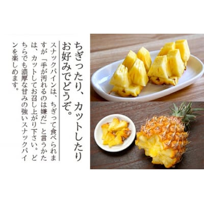 <先行予約> 農家直送!石垣島産 スナックパイン 3玉入 約1.8kg (1.6〜2.0kg) <2