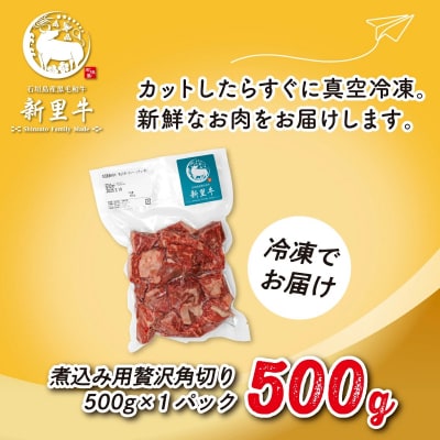 石垣島産 黒毛和牛 新里牛 多用途抜群!煮込み用贅沢角切り(500g×1) 500g