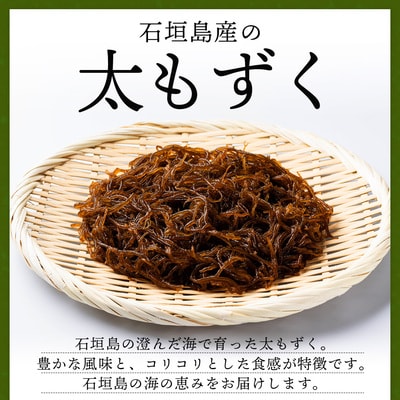 石垣島産　美らもずく麺(生麺2人前)&塩もずく(石垣島産太もずく)