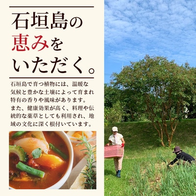ドラゴンペッパー　15g　瓶入×3本【 沖縄県 石垣島 調味料 石垣島産 辛味 】PN-3