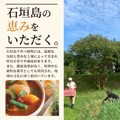 チャンプルの素　60g　袋入×2袋【 沖縄県 石垣市 石垣島 調味料 万能 石垣島産 】PN-5
