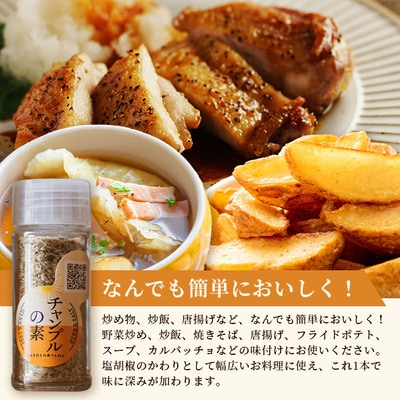 チャンプルの素　60g　袋入×2袋【 沖縄県 石垣市 石垣島 調味料 万能 石垣島産 】PN-005