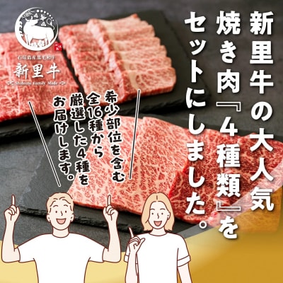 石垣島産 黒毛和牛 新里牛 焼き肉4種食べ比べ 特上カルビ・上カルビ・特上赤身・上赤身 合計800g