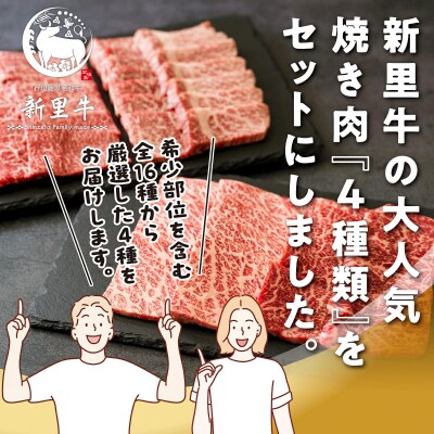石垣島産 黒毛和牛 新里牛 焼き肉4種食べ比べ 特上カルビ・上カルビ・特上赤身・上赤身 合計800g