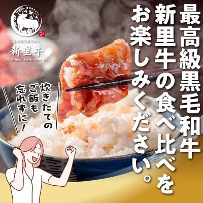 石垣島産 黒毛和牛 新里牛 焼き肉4種食べ比べ 特上カルビ・上カルビ・特上赤身・上赤身 合計800g