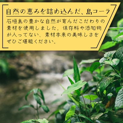 島コーラ BIGサイズ【沖縄県 石垣島 コーラ クラフトコーラ ハーブ ウコン スパイス】CS-3