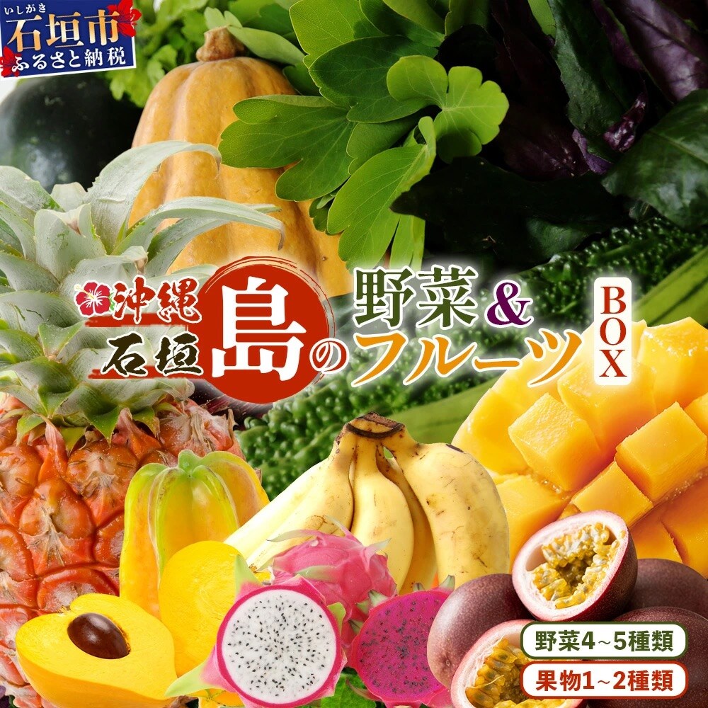 沖縄 石垣島 新鮮 島やさい・くだもの BOX 【 野菜・フルーツ 詰め合わせセット 】1箱